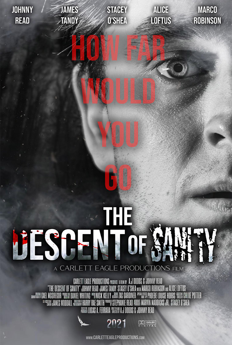 thedescentofsanity charlotte-poster